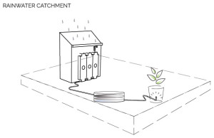 Rainwater Catchment